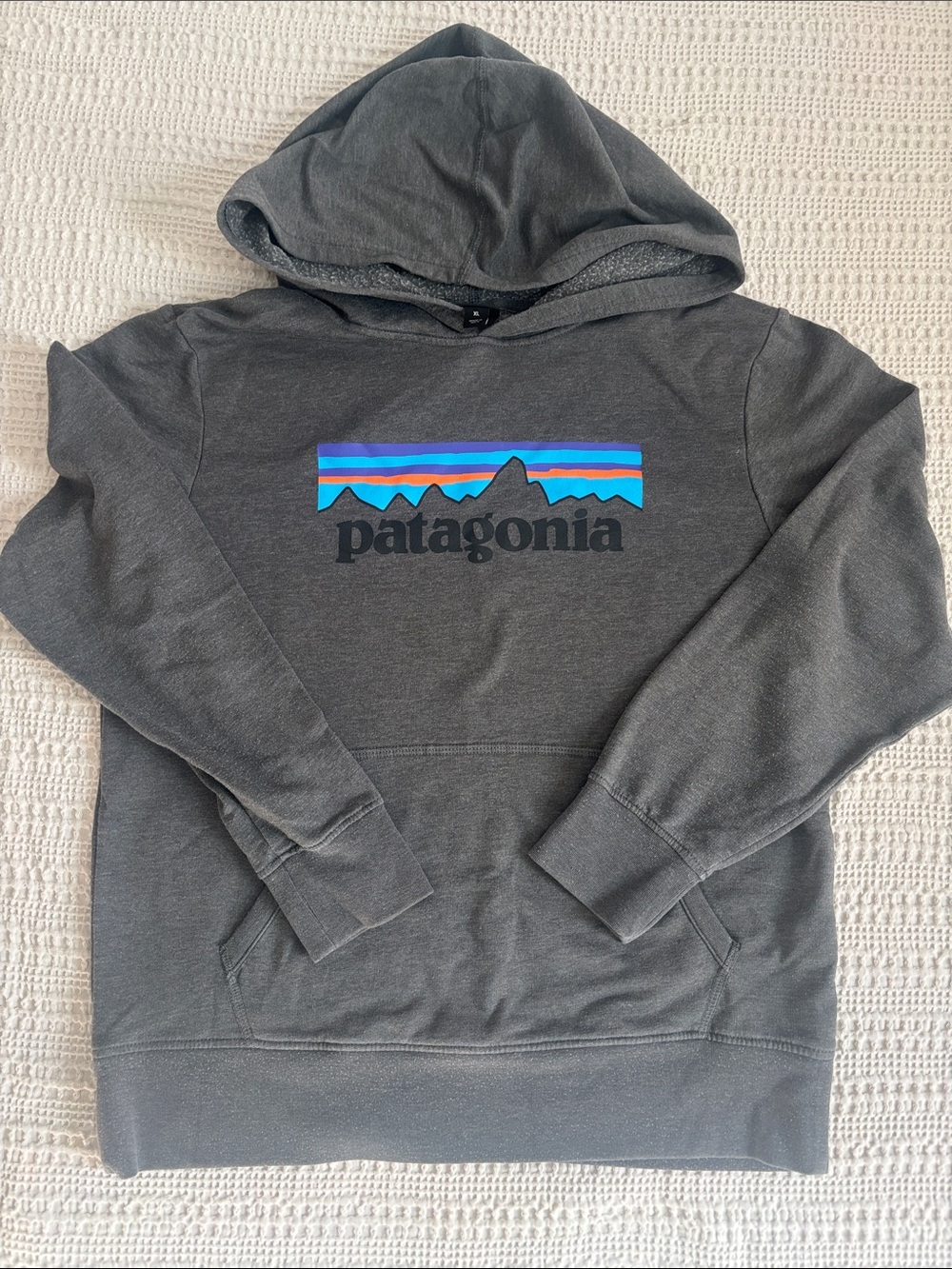 Patagonia Youth XL Charcoal Hoodie with classic logo